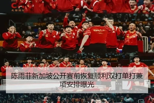陈雨菲新加坡公开赛前恢复顺利双打单打兼项安排曝光